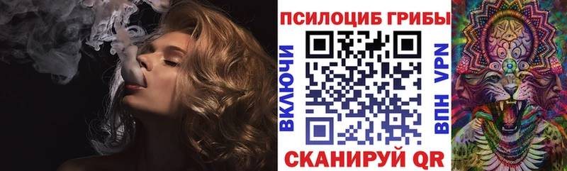 Псилоцибиновые грибы мицелий  наркотики  Староминская 