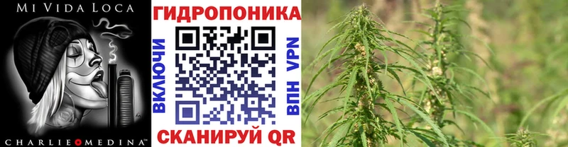 Бошки марихуана White Widow  Староминская 